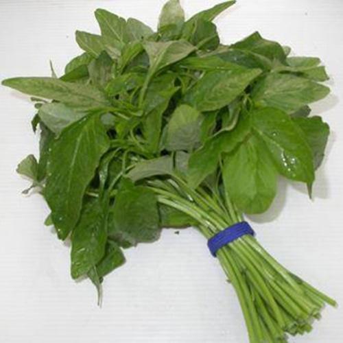 Hạt Giống Rau Dền Xanh Lá Liễu F1. Túi 20 Gram