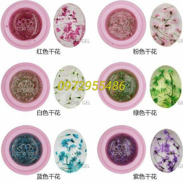 Gel Hoa Khô Ẩn trang trí móng