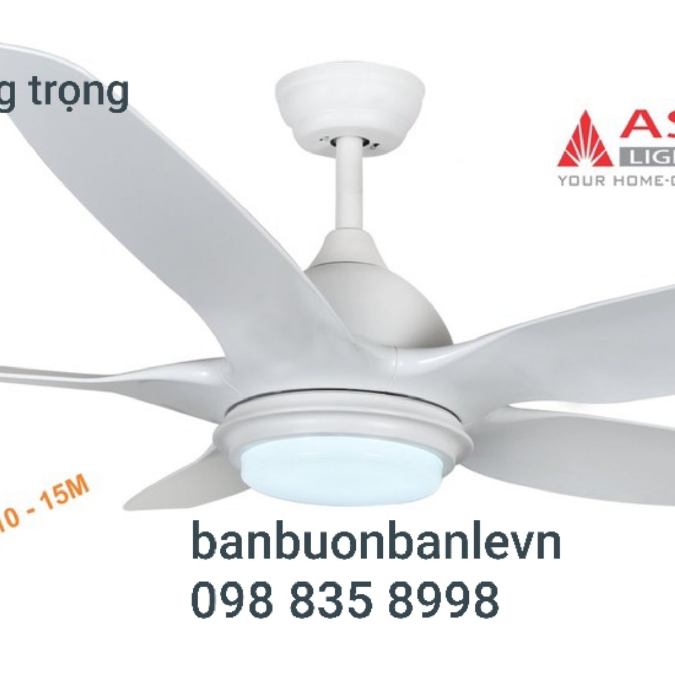 Quạt trần đèn trang trí asia- qt02