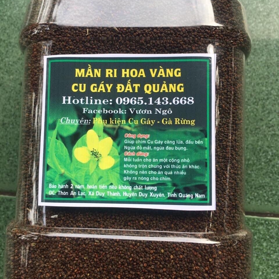 Hạt mần ri giúp cu gáy nhanh nổi