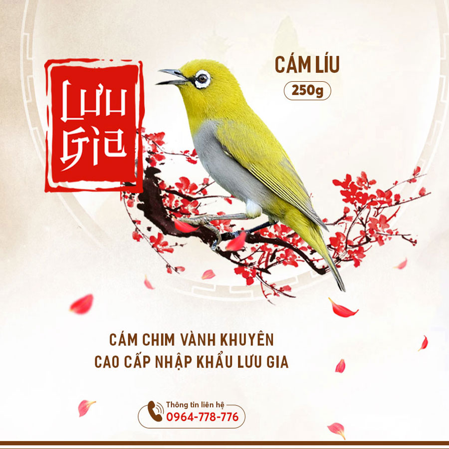 Cám lưu gia, cám líu cho chim khuyên, cám dưỡng, cám líu, thức ăn cho chim khuyên