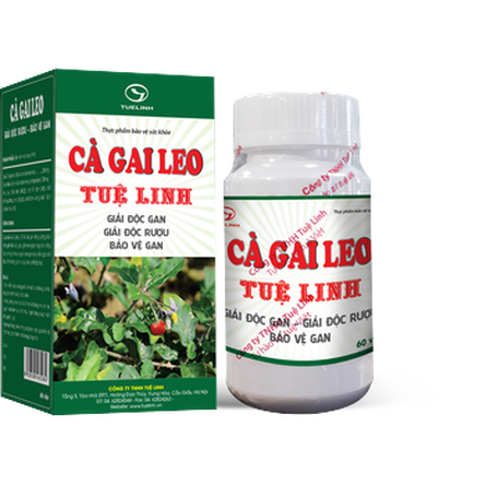 Hỗ trợ giải độc gan cà gai leo tuệ linh 60 viên