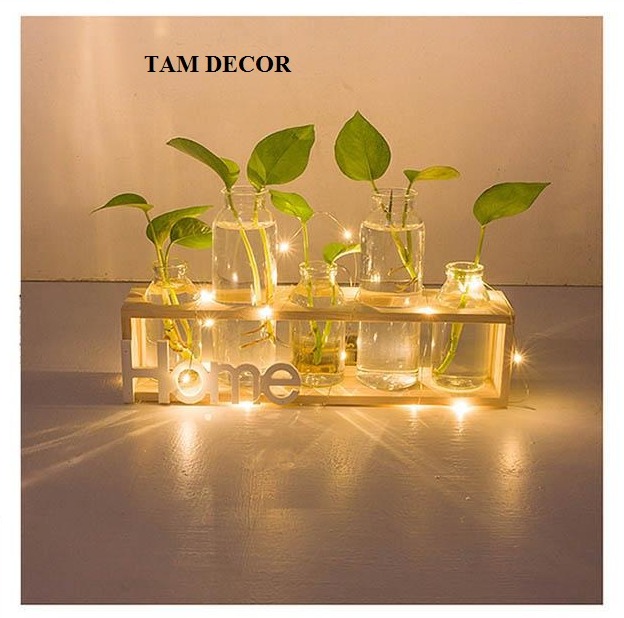 Bình bông thuỷ tinh kèm khung gỗ để bàn 5 bình, Set 5 lọ hoa thuỷ tinh kèm kệ gỗ để bàn có thể trồng cây thuỷ sinh trang trí phòng khách, phòng làm việc