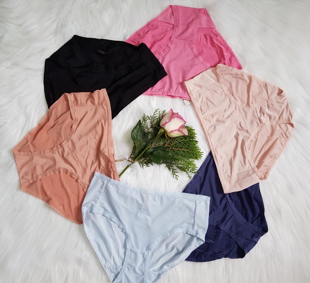 Quần lót của nữ Triumph Simply Everyday Basic Hipster 2526 lưng cao nhiều màu