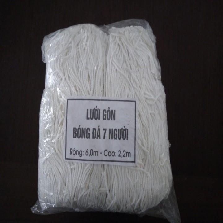 Lưới khung thành lưới gôn bóng đá mini 7 người (2 lưới) sợi dù trắng