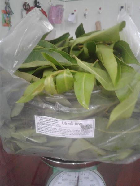 Lá vối tươi - gói 450gr