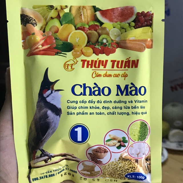 Cám Thuý Tuấn -Dành Cho Chim Chào Mào Số 1