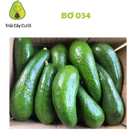 Bơ 034 cực dẻo - 1kg- trái cây cười -