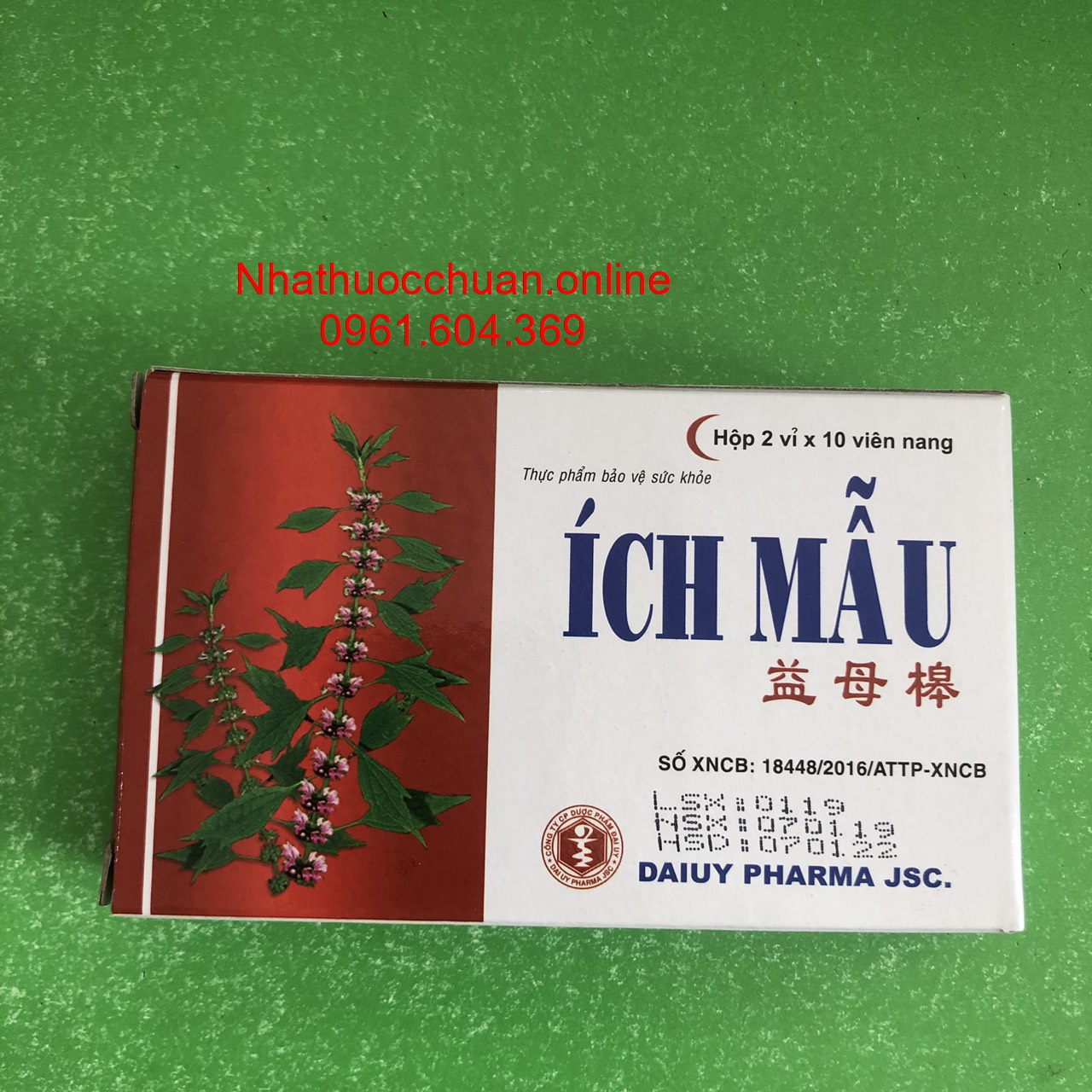 Ích Mẫu Đại Uy (20V)