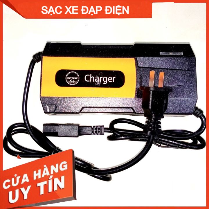Sạc xe đạp điện 48v 20ah, sạc chính hãng, SMART CHARGER