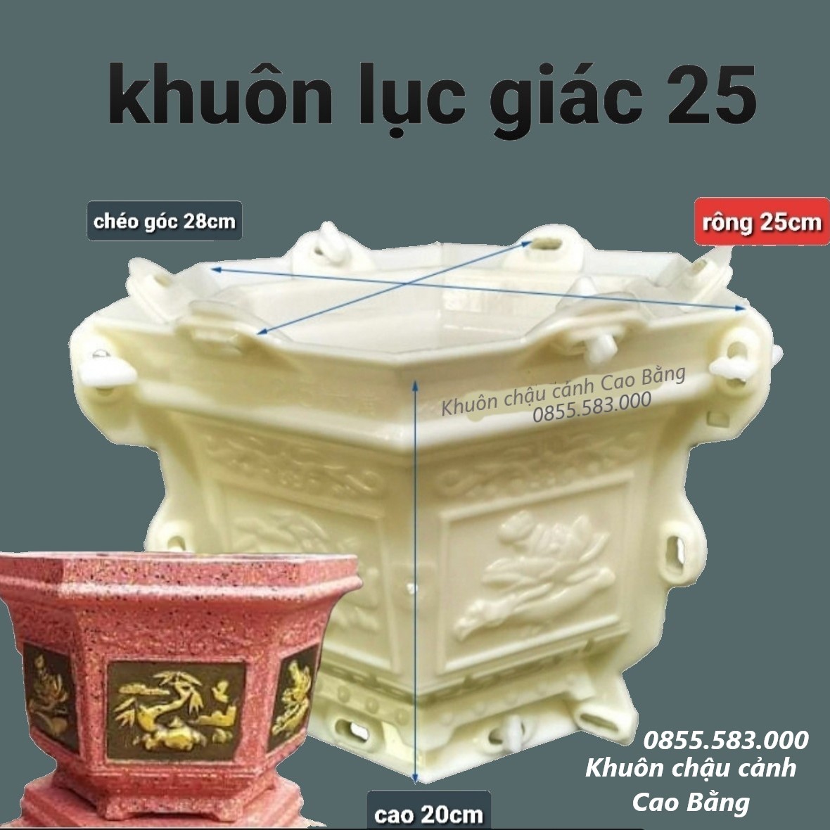 khuôn đúc chậu cảnh lục giác 25 (khuôn chậu ABS có lòng trong)