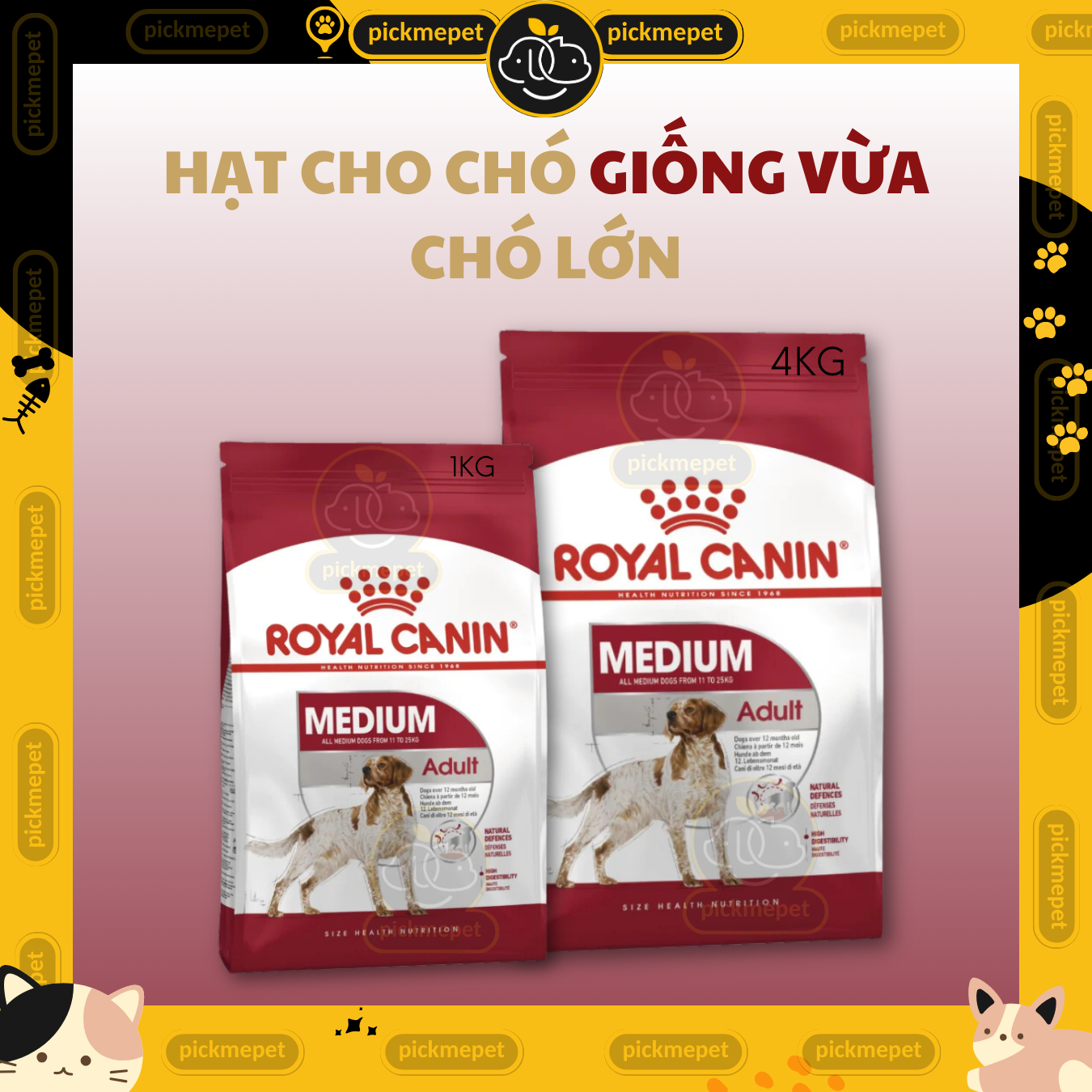[ CHÍNH HÃNG ] Hạt Royal Canin Medium Adult Cho Chó Trưởng Thành Cỡ Vừa 10kg