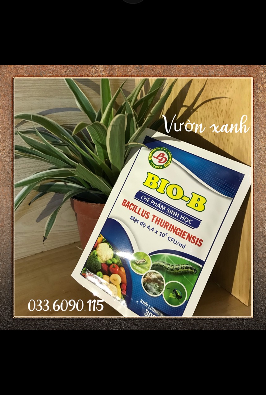 Chế phẩm sinh học Bio-B gói 30g