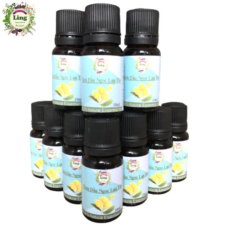 Combo 10 chai Tinh Dầu Ngọc Lan Tây xông phòng 10ml thiên nhiên nguyên chất 100%