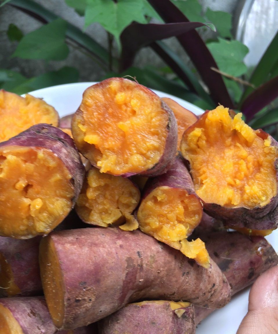 1kg khoai lang mật tà nung đà lạt 6-8 củ 1kg