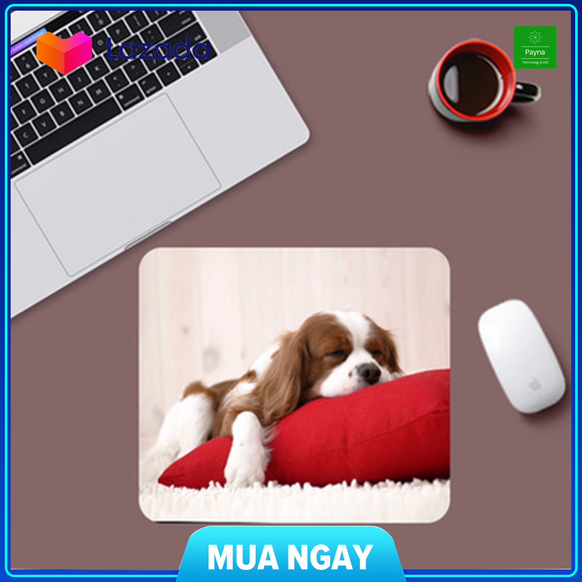 Miếng lót chuột hoạt hình siêu dễ thương bàn di chuột cực hot 2020