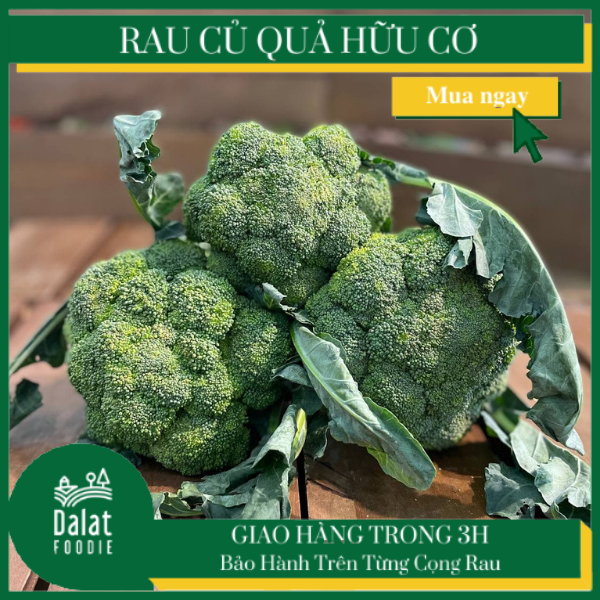 Bông Cải Xanh 300G
