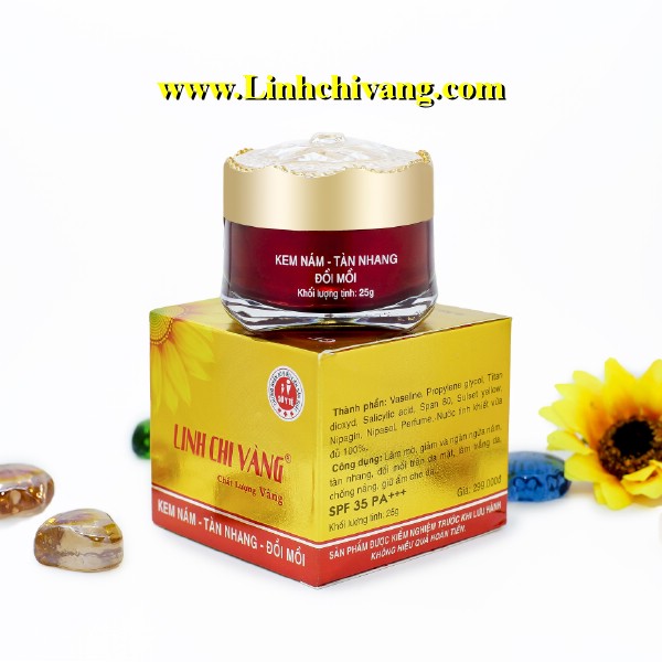 [HCM]KEM NÁM TÀN NHANG ĐỒI MỒI LINH CHI VÀNG 25G