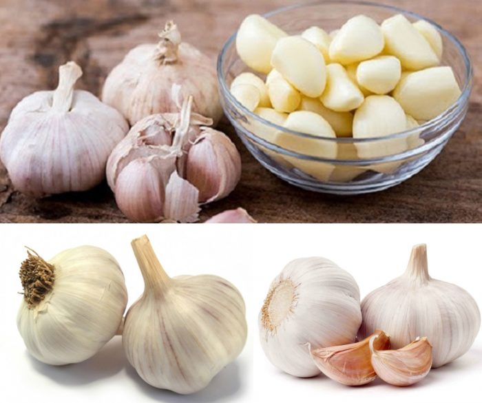 Tỏi phan rang 0.5 ký v 1 ký có cả 3 lạng rất tốt cho sức khỏe mùa dịch