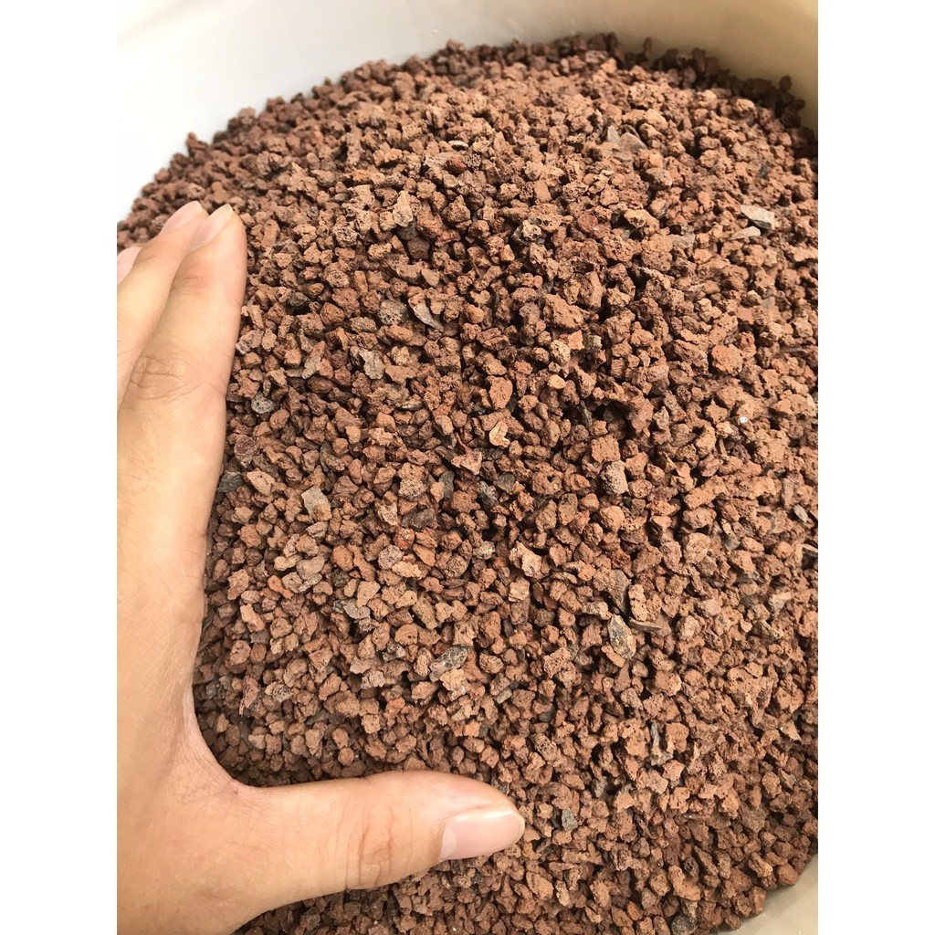 Nham thạch vụn trải nền bể cá