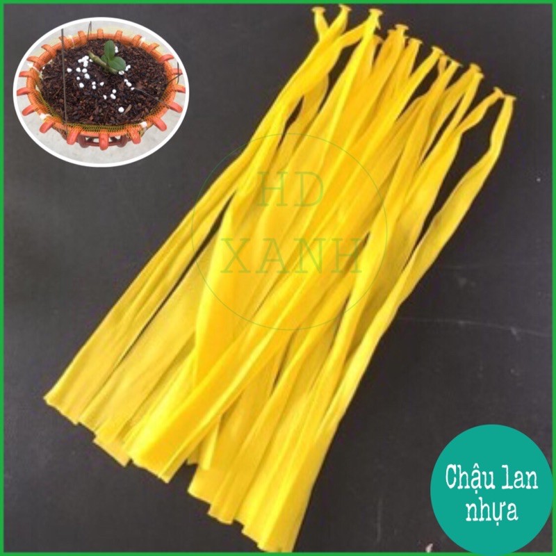 Lưới lót chậu trồng lan 10 chiếc