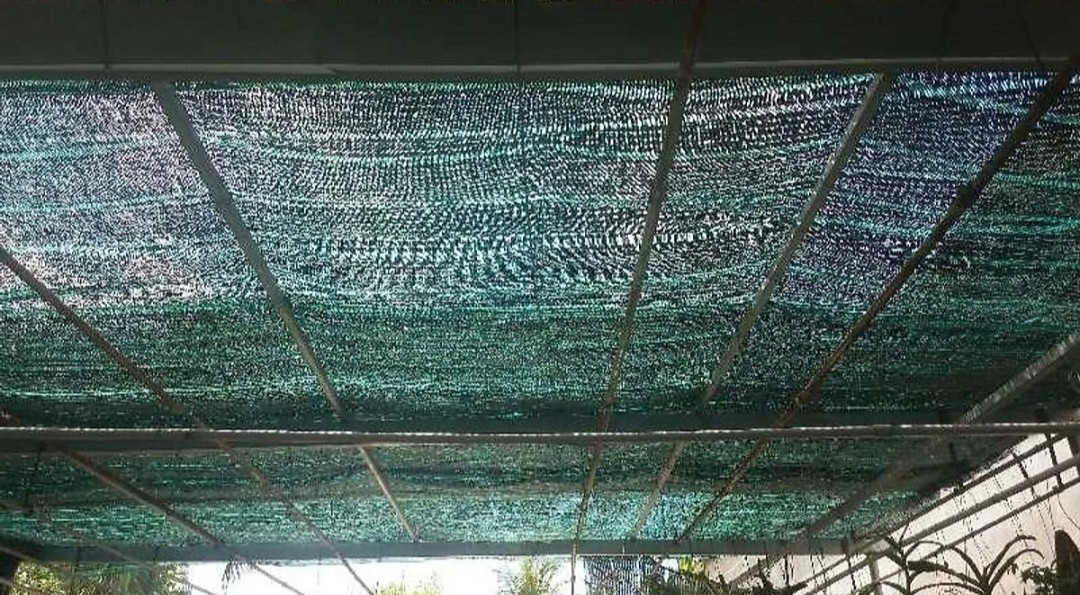 10m lưới lan che nắng 70%