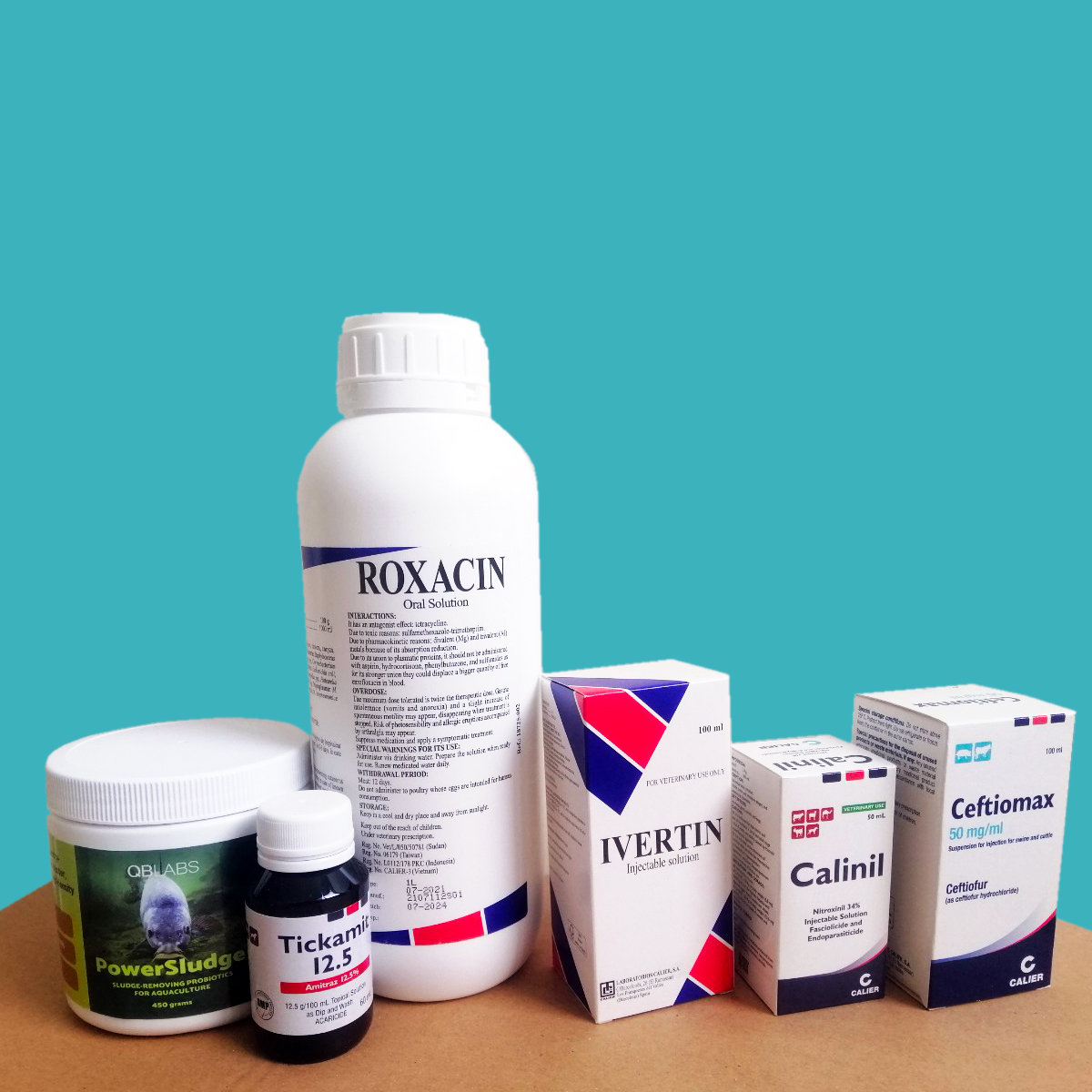 Bộ sản phẩm phòng và trị bệnh trọn gói dành cho cá Koi