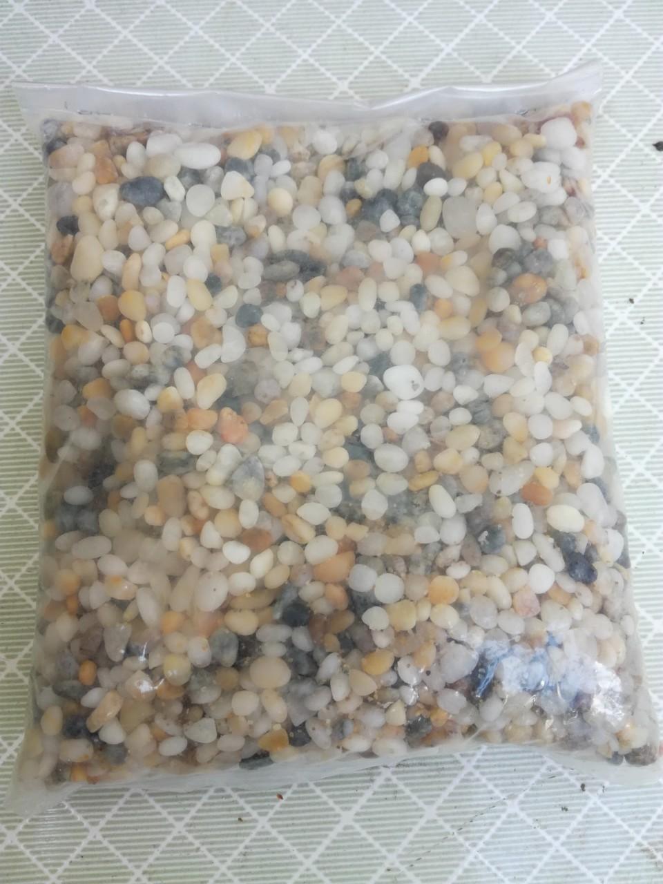 [Chọn size]3kg Sỏi biển thiên nhiên trang trí bể cá, chậu cây 3kg