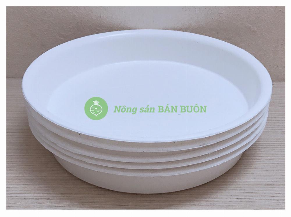 5 khay lót đế chậu d200 binh thuan plastics - màu trắng