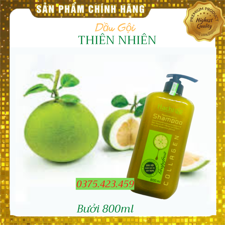 Combo cặp dầu gội và dầu xả bưởi hachi-800ml dành cho tóc gãy rụng hàng chính hãng