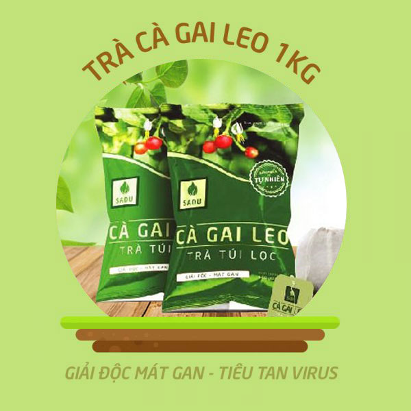 TRÀ CÀ GAI LEO SADU TÚI LỌC có khả năng tăng hiệu quả làm giảm viêm gan, xơ gan, giúp giải độc gan,thanh nhiệt cơ thể,mụn nhọt vàng da, nóng trong người,100% cà gai leo nguyên chất,có giấy ATTP