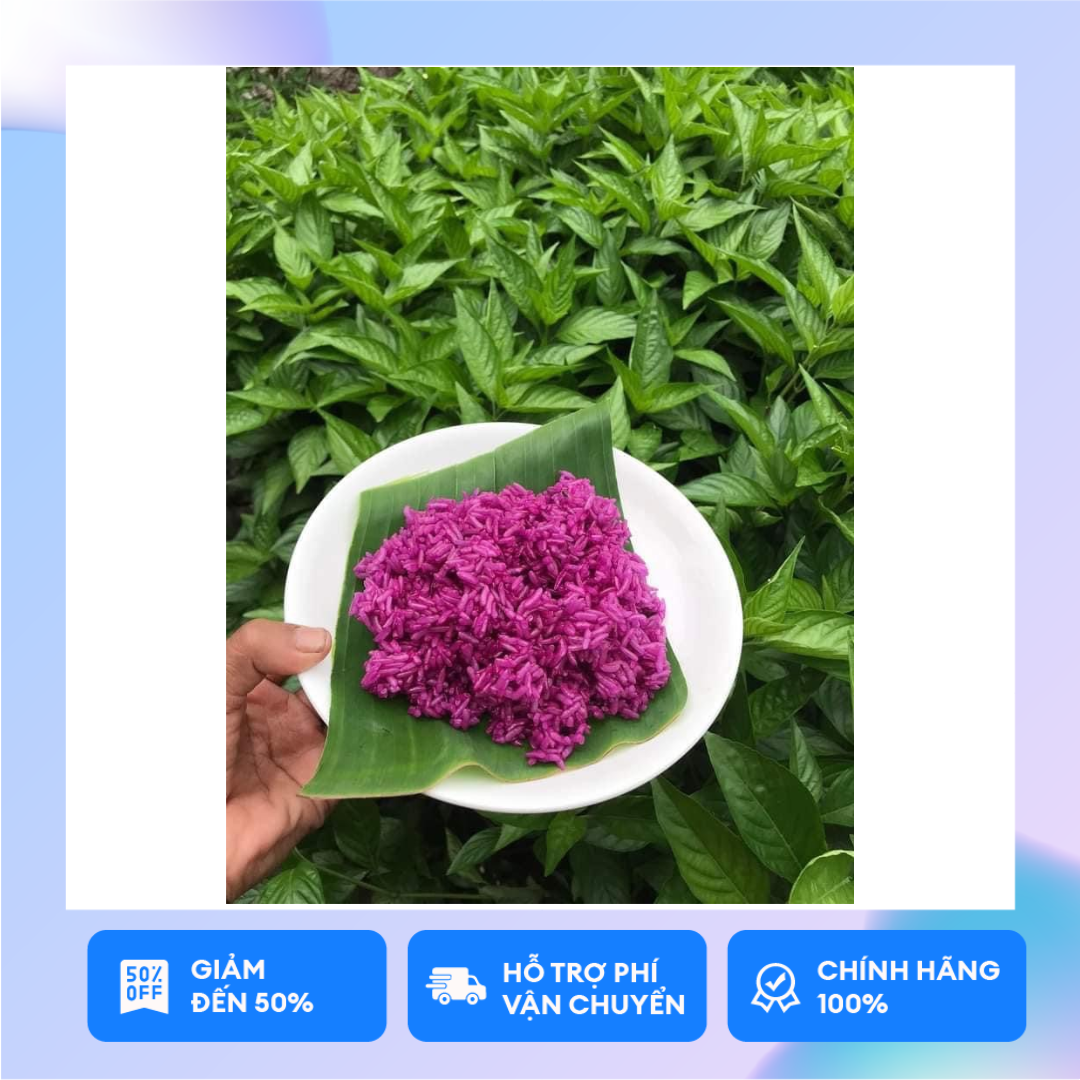 Combo 5kg lá cẩm tím nấu xôi hái tại vườn