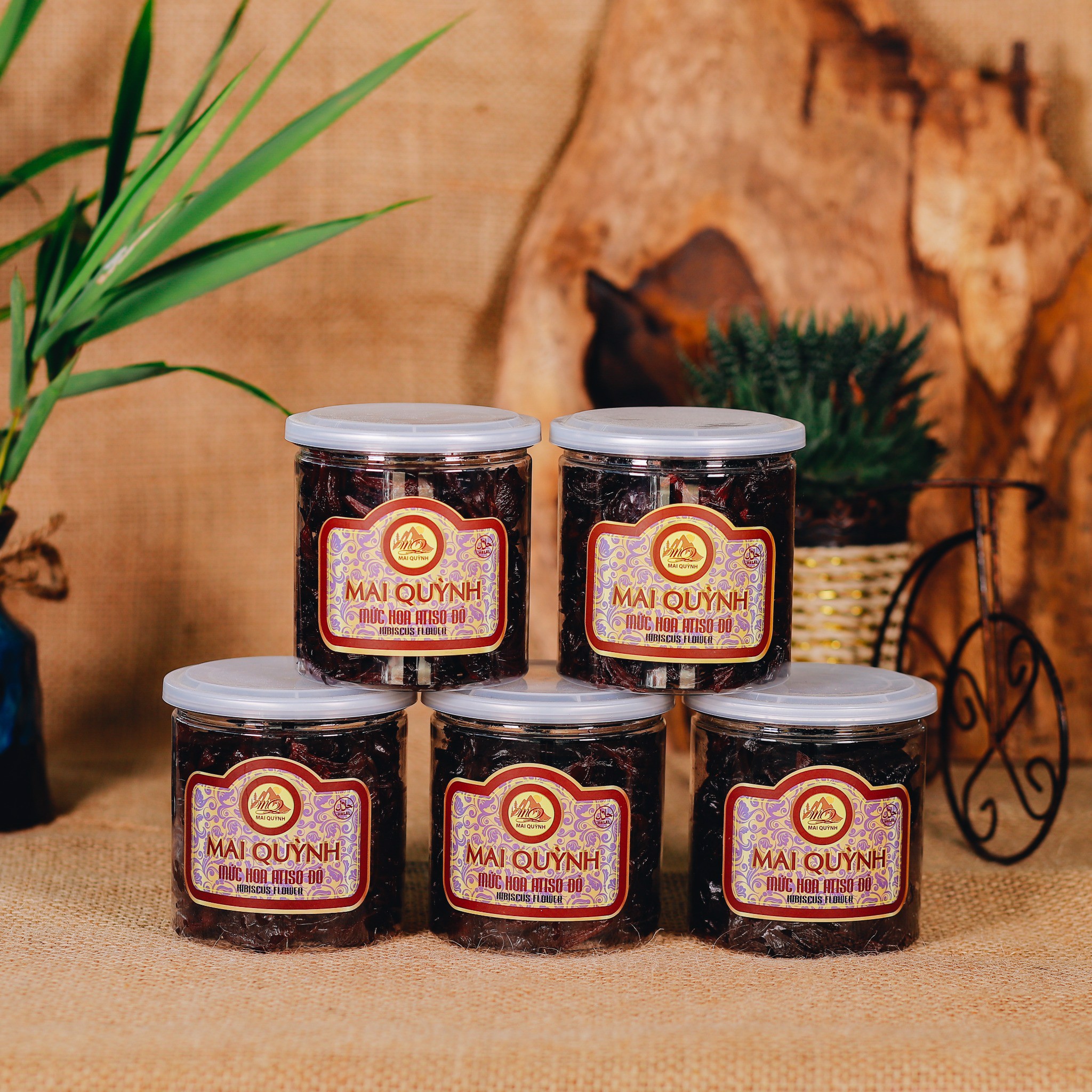 MỨC HOA ATISO ĐỎ