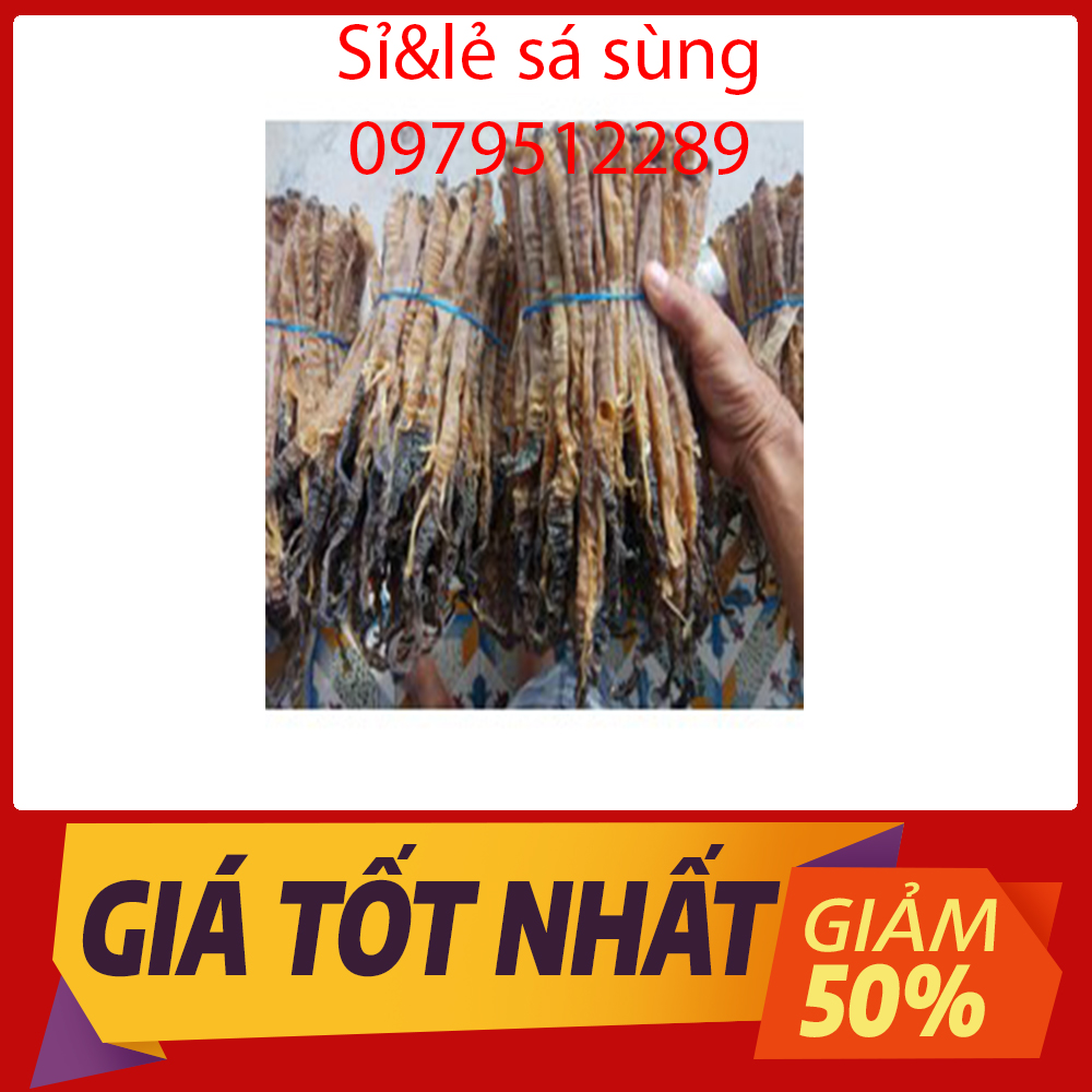 Sá sùng khô nấu phở cỡ đại 200gr - sá sùng nấu nước lèo ngon ngọt đặc sản nha trang