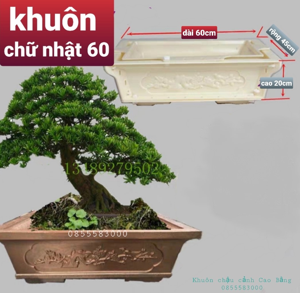 Khuôn chậu cảnh hình chữ nhật 60 . khuôn chậu ABS có lòng trong