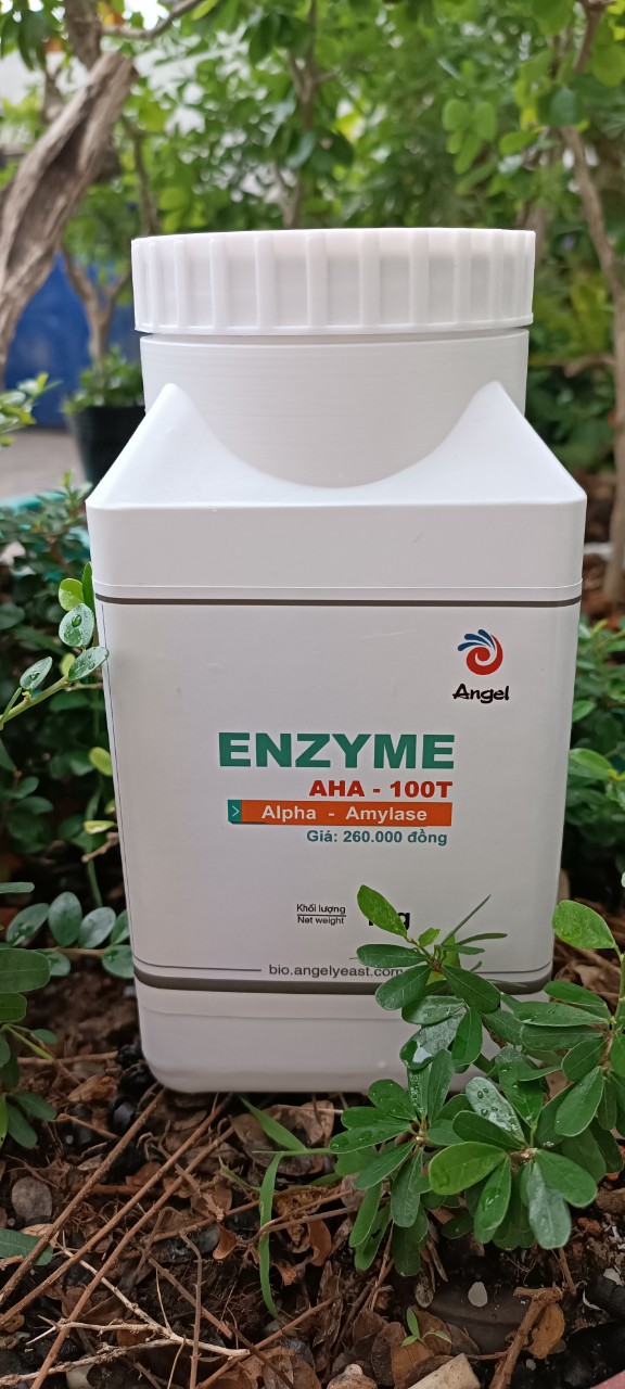 Enzyme Alpha Amylase AHA 100T  dạng nước hũ 1kg