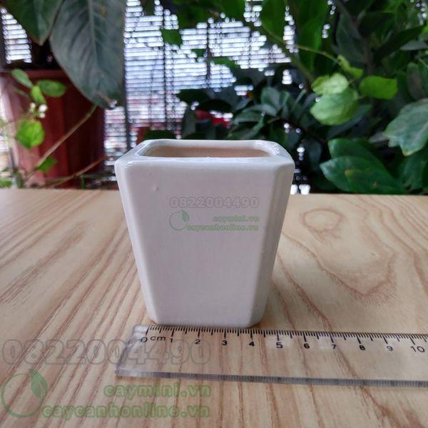 Chậu Vuông vát mini - Chậu trồng cây mini sen đá xương rồng
