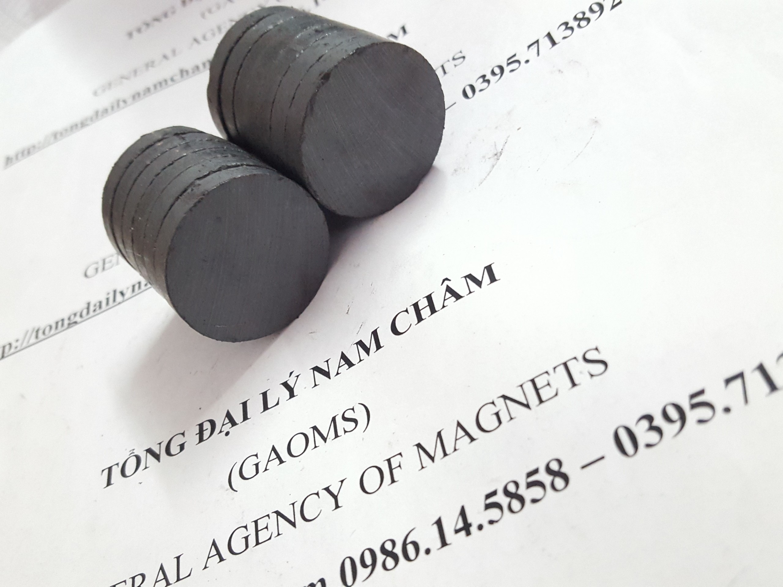 10 viên nam châm đen 30x5mm