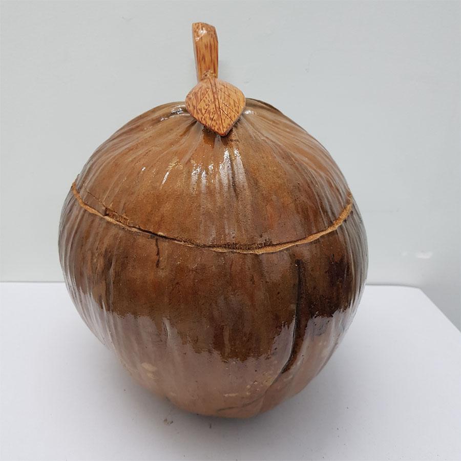 Vỏ đựng bình trà trái dừa