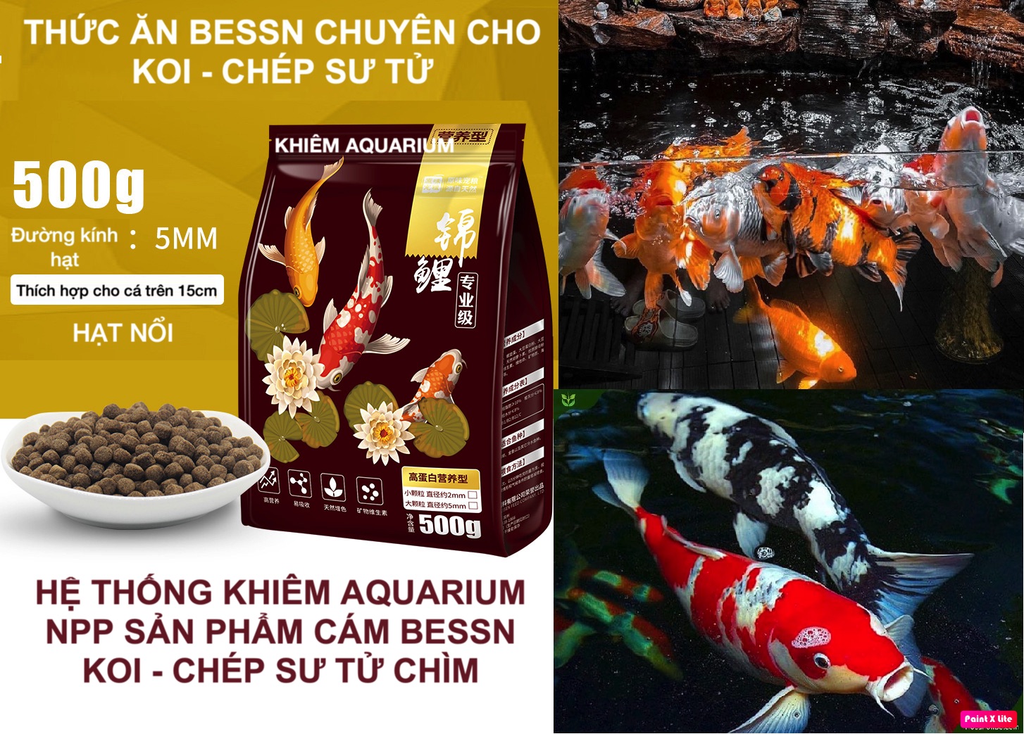 Thức ăn cá koi bessn,giúp koi tăng trưởng và tăng màu không gây vàng nước, dễ tiêu hoá cá lớn nhanh