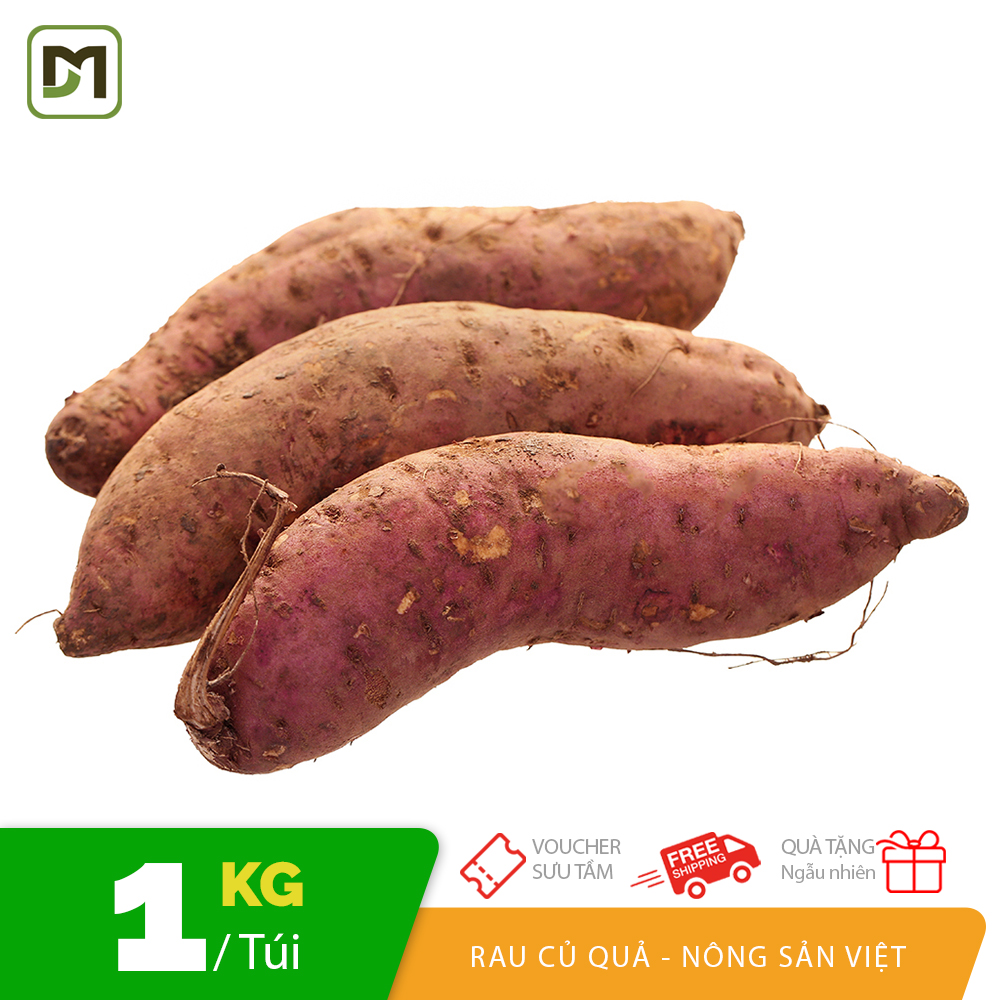 1KG Khoai lang Mật ruột vàng củ to hàng loại siêu thị mật ngọt