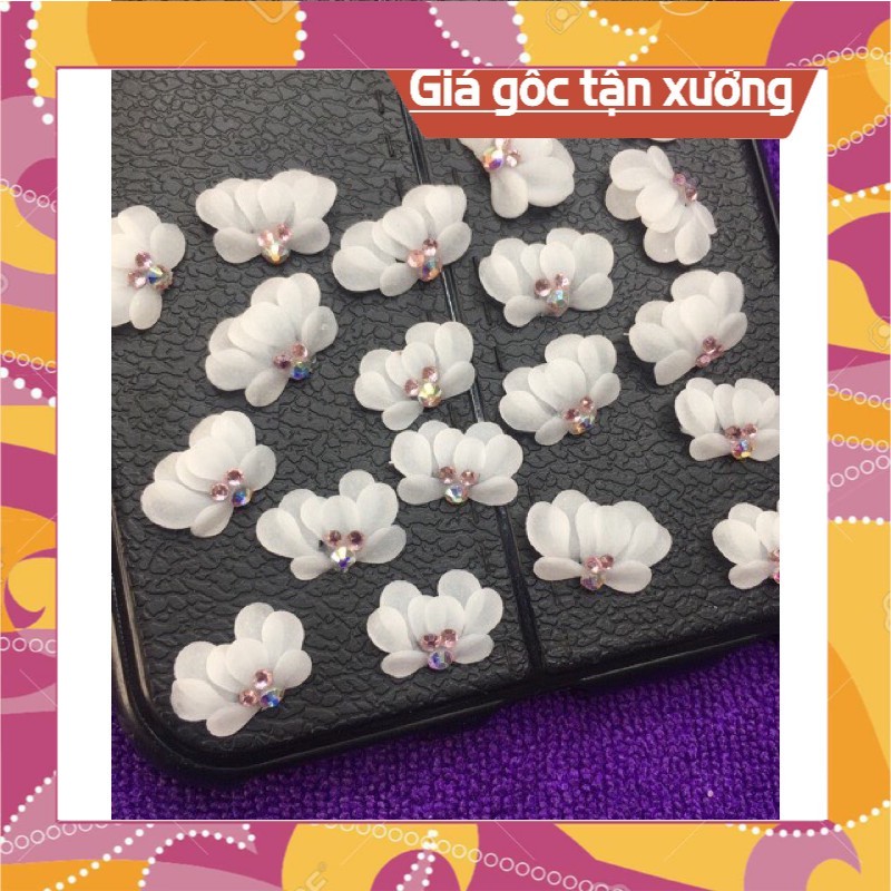 Hoa bột nail hoa bột giá sỉ