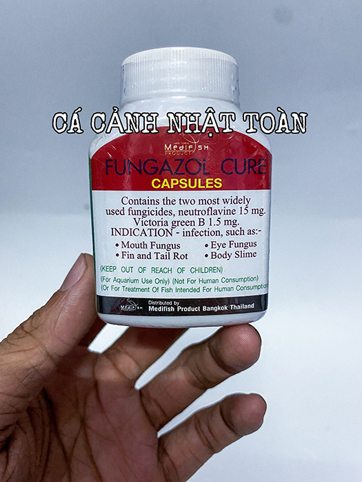 "Hoàn tiền đến 10%" FUNGAZOL CURE CAPSULES THÁI 30 VIÊN THÁI LAN HỖ TRỢ NẤM CHO CÁ CẢNH