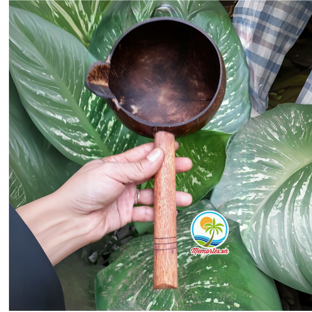 Gáo múc nước, ca múc nước, gáo dừa tưới cây, làm bánh, gội đầu dưỡng sinh, spa, phụ kiện trang trí, chụp hình