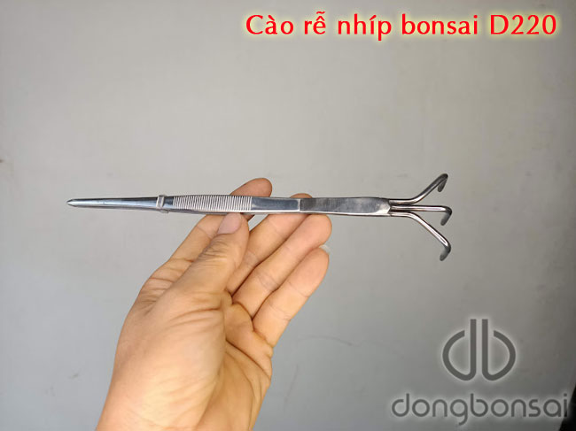 Cào rễ nhíp chuyên dùng nhổ cỏ, gắp lá, cấy rêu, cào rễ thay chậu cây bonsai
