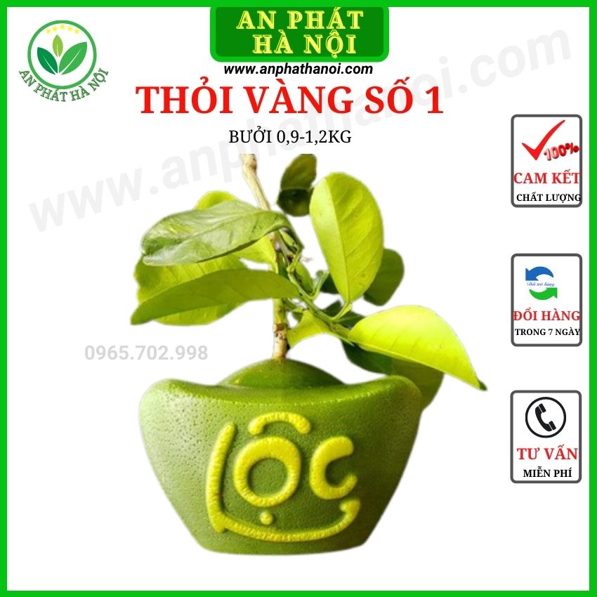 [Dày 5 li+quà tặng] Khuôn Bưởi Thỏi Vàng - khuôn tạo hình trái cây in chữ Tài Lộc sắc nét, dày đến 5 li – đủ 3 kích cỡ cho bưởi từ 0,9-1,8kg An Phát Hà Nội
