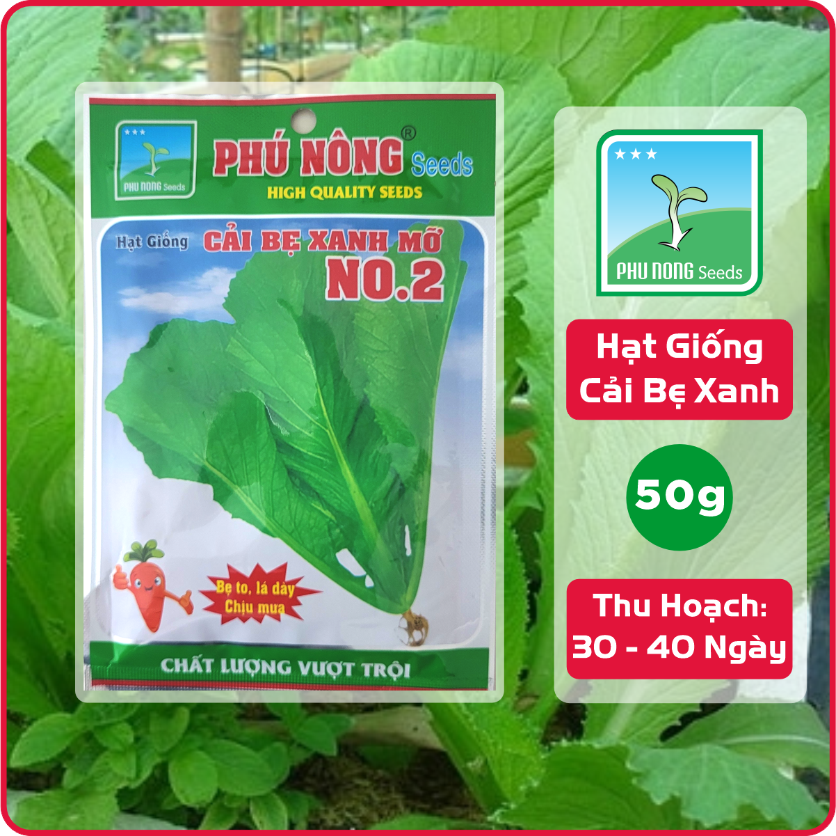 Hạt Giống Cải Bẹ Xanh Mỡ Phú Nông Gói 50g