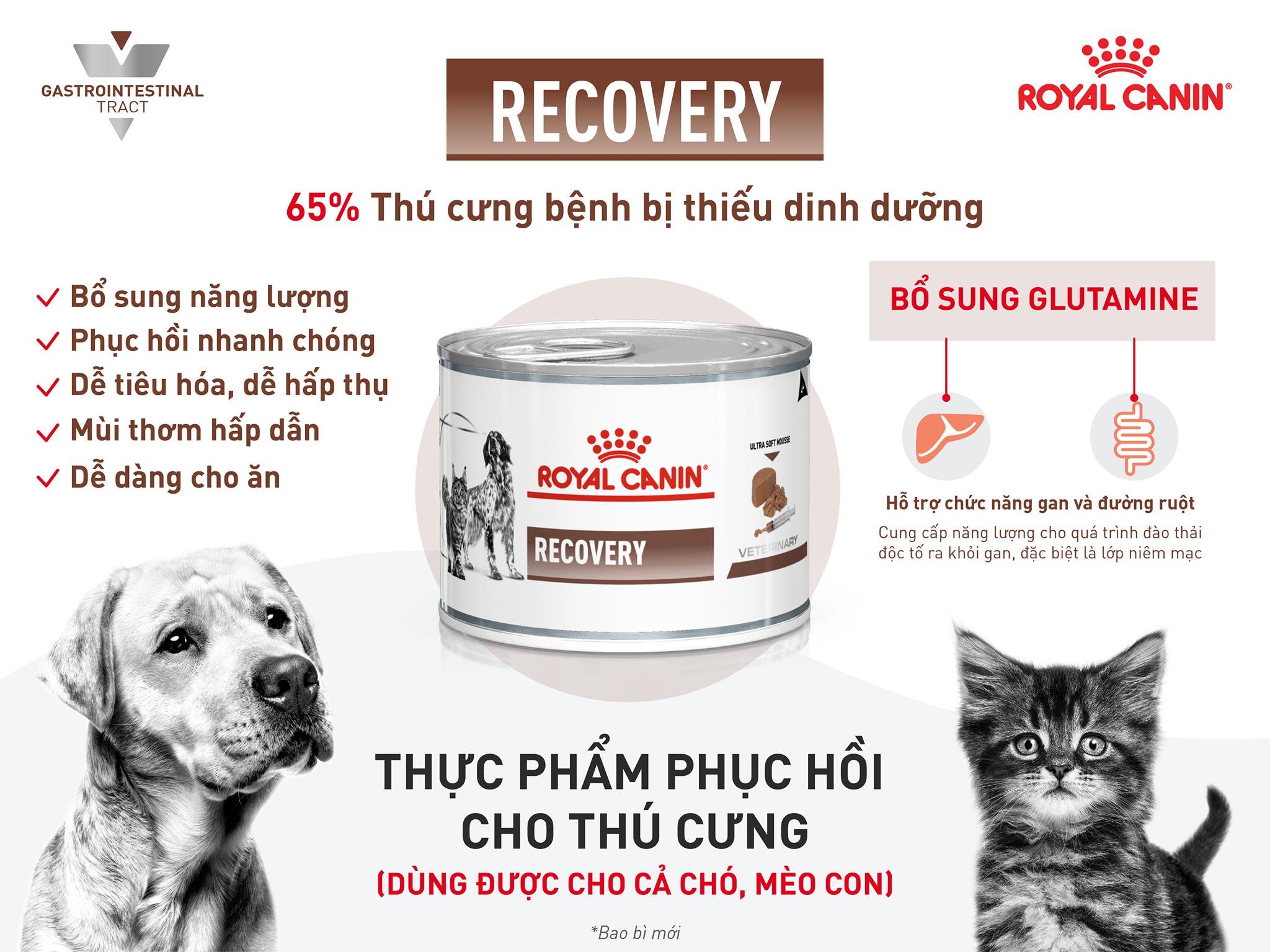Recovery Royal Canin giá tốt Tháng 12,2022|BigGo Việt Nam