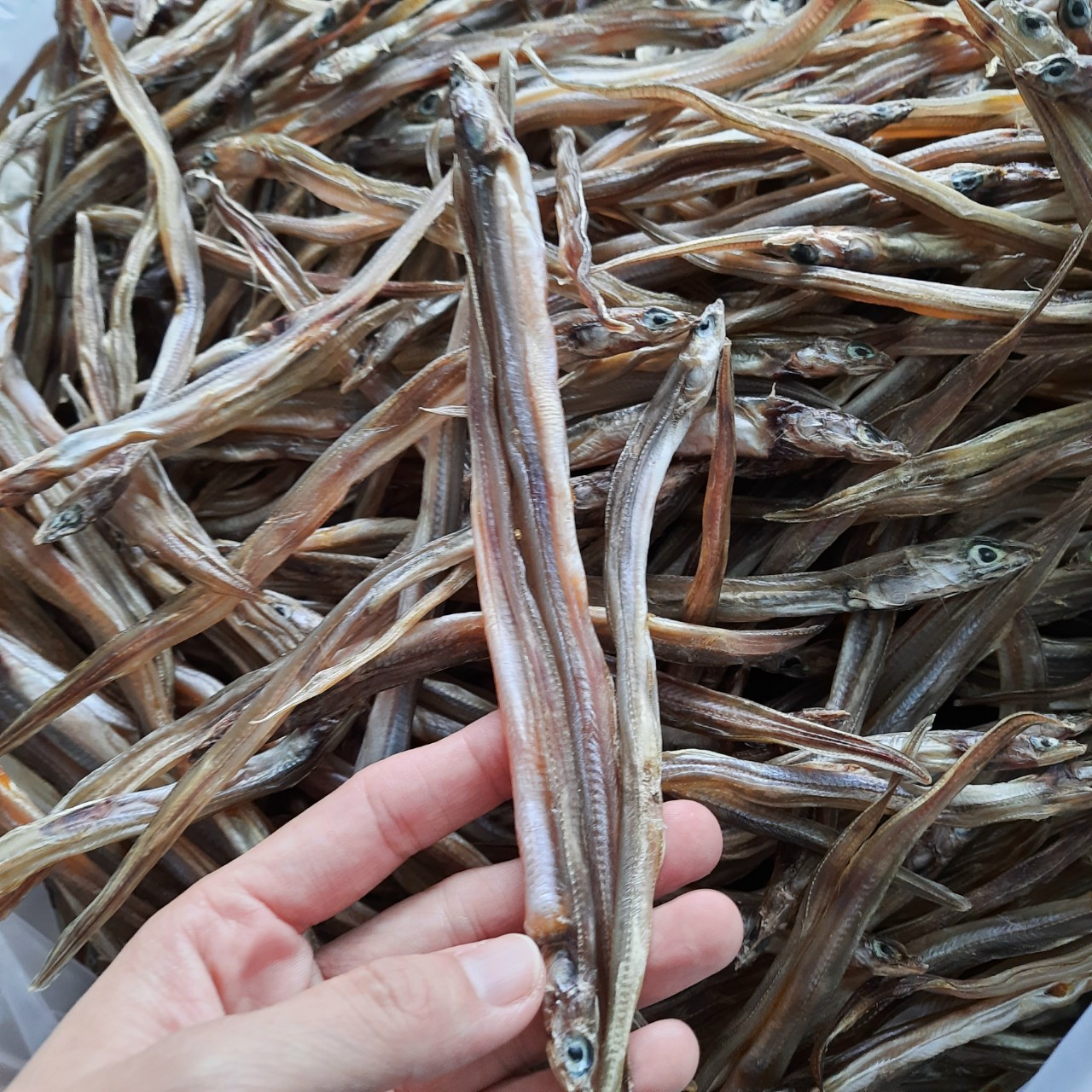 Khô cá lãi,cá biển phơi bờ gói 500gr