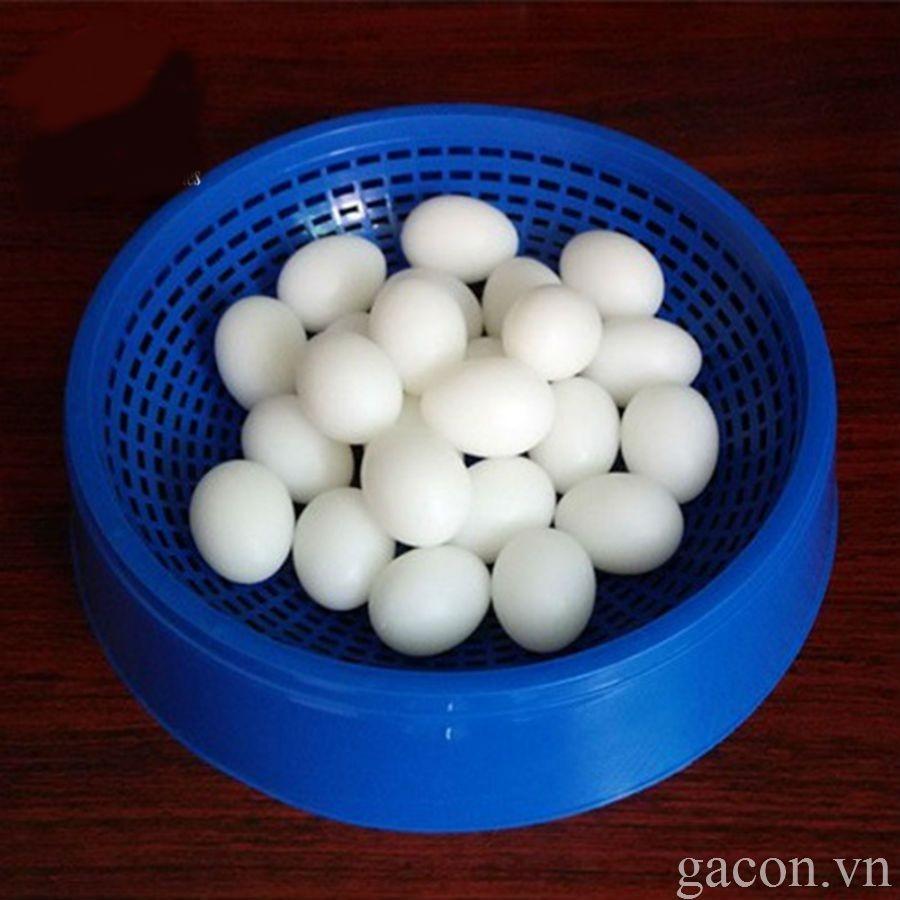 COMBO 15 QUẢ TRỨNG GIẢ CHO CHIM BỒ CÂU